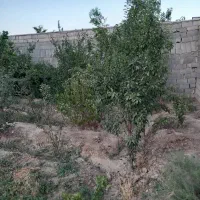 فروش باغ 310 متری در نجف آباد .گلدشت . قلعه سفید|فروش زمین و ملک کلنگی|نجف‌آباد, بازار|دیوار