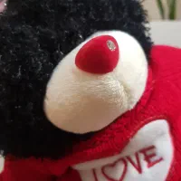 عروسک خرس تدی|اسباببازی|گنبد کاووس, |دیوار