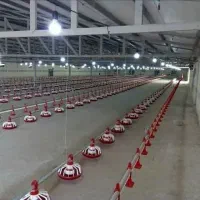 دانخوری بشقابی مجهز سنسور کنترل دان