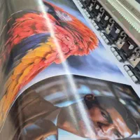 چاپ بنر استیکر مش فلکس فوری|خدمات رایانهای و موبایل|شیراز, شریفآباد|دیوار