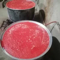 رب خانگی