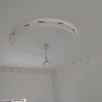 گچکاری|خدمات پیشه و مهارت|بم, |دیوار