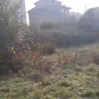 فروش قطعه زمینی به مساحت ۲۵۰۰مربع(سنددار)|فروش زمین و ملک کلنگی|رشت, لاکان شهر|دیوار