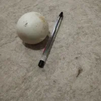 سنگ آسیاب الماس