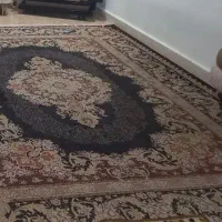 در حد نو