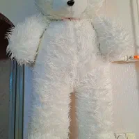 عروسک خرسی بزرگ|اسباب‌بازی بچه|تبریز, |دیوار