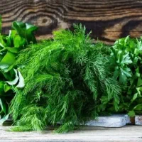 سبزی آش و سبزی قرمه سبزی پذیرفته می شود