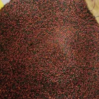 غذای ماهی آب شیرین|ماهی|اصفهان, سروستان|دیوار