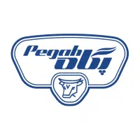 بازاریاب حضوری