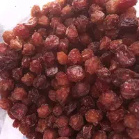 آلوچه|خوردنی و آشامیدنی|مرند, |دیوار