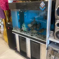 اکواریوم شرکتی شیشه خم بخاری  غذا ریز اتومات