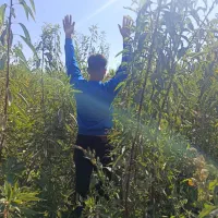 نهال برتر تخصص ماست