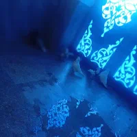 2000|حیوانات مزرعه|دهگلان, |دیوار