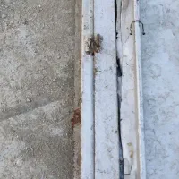 در کله کفتر|لوازم جانبی حیوانات|بروجرد, |دیوار