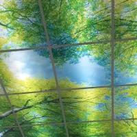 تعداد تخته شناجی دست دوم به فروش میرسد