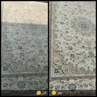 خدمات قالیشویی ارکیده|خدمات نظافت|گنبد کاووس, |دیوار