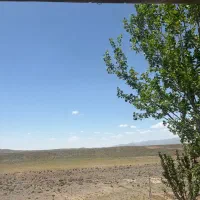 خونه باغ بیدخواب