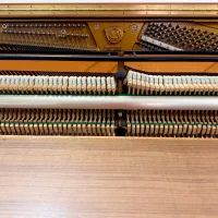 پیانو سمیک کره جنوبی|پیانو، کیبورد، آکاردئون|کاشان, زیارتی|دیوار