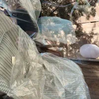 پژو آردی مدل ۱۳۸۰ صفر عتیقه|خودرو سواری و وانت|تهران, نیاوران|دیوار