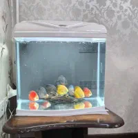فروش اکواریوم l470b بکسام دار  و دلسا k 390