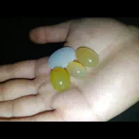 عقیق