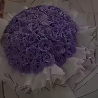 فروش** یکجا** وسایل منزل