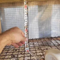 جفتگاه کبوتر