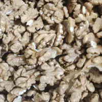 فروش مستقیم مغز گردو از کارگاه تولیدی