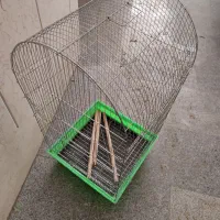 قفس بزرگ