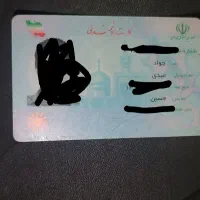 مدارک گمشده