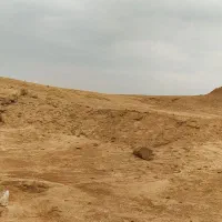 زمین بهشت رضا