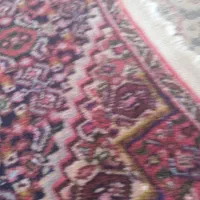 پادری بیجار