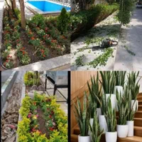 خدمات باغبانی طراحی فضای سبز باغچه کاری