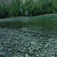 زمین-طرح-ترمینال