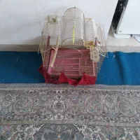 قفس حرفهای|لوازم جانبی حیوانات|فولادشهر, مسکن مهر فولادشهر|دیوار