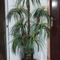نخل مصنوعی با گلدان قیمت خیلی خوب