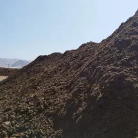 کود گاوی پوسیده