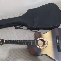 گیتار با کیفش