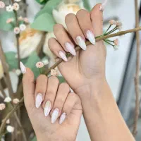 طرح ویژه یلدایی|خدمات آرایشگری و زیبایی|بابل, |دیوار