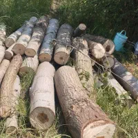 تخریب و خرید فروش مصالح ساختمانی|مصالح و تجهیزات ساختمان|رشت, بازار|دیوار