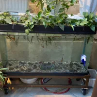 اکواریوم بزرگ