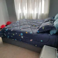 دو-قدمی-دریاچه-چیتگر-نوساز