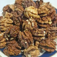 خشکبار ارگانیک باغات پاوه(مغز گردو)|خوردنی و آشامیدنی|پاوه, |دیوار