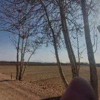 فروش یامعاوضه زمین 5100 متری مناسب گلخانه و باغ|فروش زمین و ملک کلنگی|نجفآباد, کهریزسنگ|دیوار