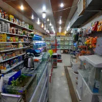 آکواریم ماهی  گوپی اسکار سیچلاید  آروانا مولی|ماهی|ری, فیروزآبادی|دیوار