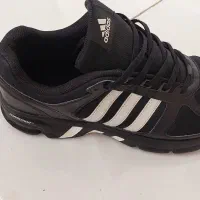 کتونی اکومنت