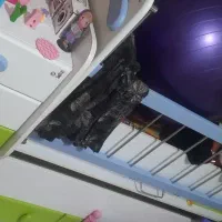 تخت کودک نوجوان