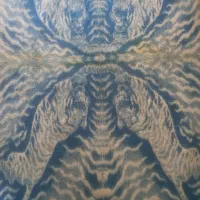 پتوپلنگی|رختخواب، بالش، پتو|قائمشهر, |دیوار