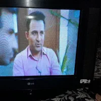 تلویزیون