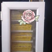 دستگاه جوجه کشی مشهد برق